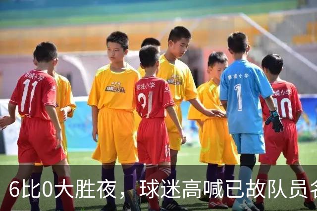 6比0大胜夜，球迷高喊已故队员名字，C罗怒斥：侮辱战友禁止入场